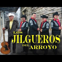 JILGUEROS DEL ARROYO (COLLECCION MIX) 2