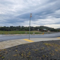 Dream Mycelium (Jab and Wish)