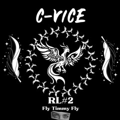 Fly Timmy FLY