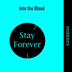 EP - Stay Forever Remixes (snippet)