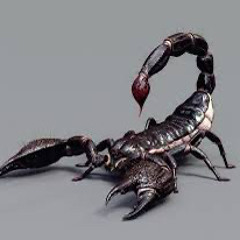 Scorpion ft. Yvngnphamous & Finesse B