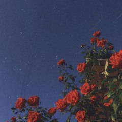 Rosas - La oreja de Van Gogh (cover)