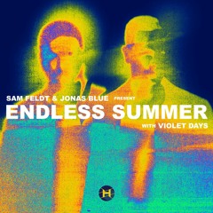 Endless Summer - Crying On The Dancefloor (Havarow Remix)