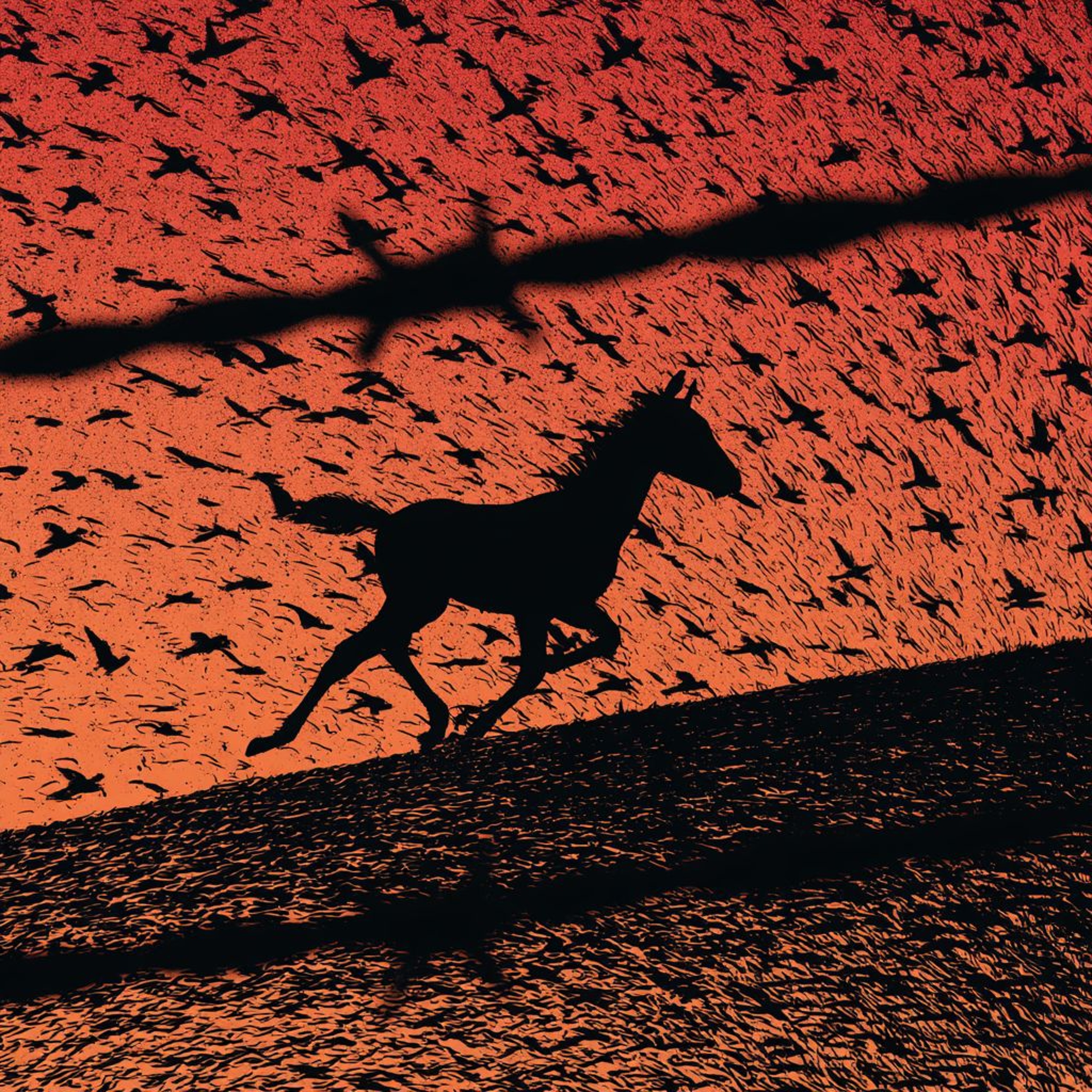 Born free episode artwork