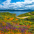 Artwork for BEST LIFE (45SURF)