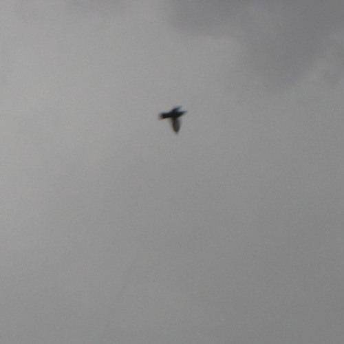 Topology of Distance  (ambient/downtempo mix)