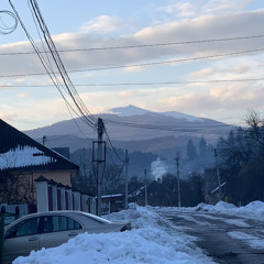 Конь Любэ