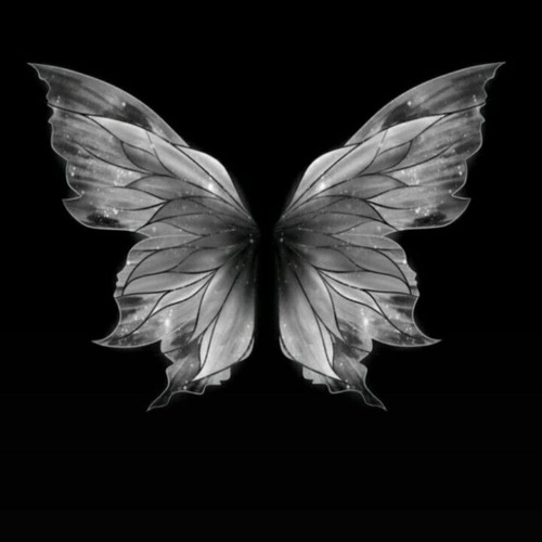 Welt Ohne Licht (translate lyrics in description)