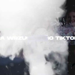 Ona wrzuca tego TikToka ale to VIXA (Majki Remix)