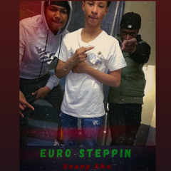 Euro Steppin