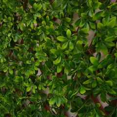 fade away (prod. enzio)