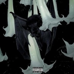 W1zrd feat camsoulja - Bruce Wayne
