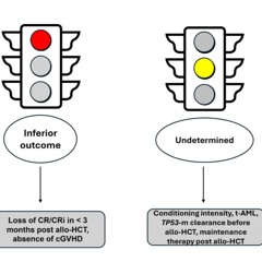 TP53 Mutated AML: Transplant or No Transplant