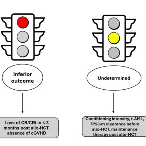 TP53 Mutated AML: Transplant or No Transplant
