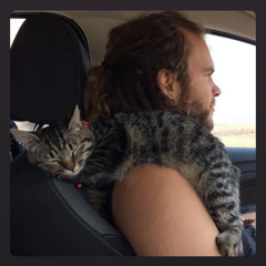 9 lives