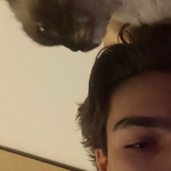 Bhad bhabie prod shalesh