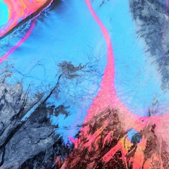 Free Downloads