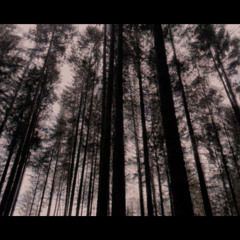 OctaveOrange-The Recomposition Of The Mind