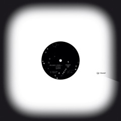 [TRUST48] ORLANDO VOORN :: wicked system [out december 2025]