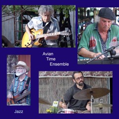 Blues Side Of The Birds (short clips of many songs)