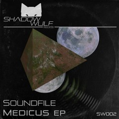 Premiere: Soundfile "I Love You" - Shadow Wulf Records