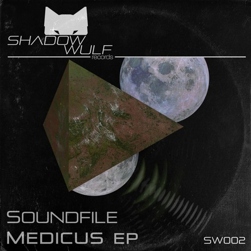 Premiere: Soundfile "Hitze" Shadow Wulf Records