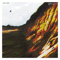 Wasta - Forman [snippet]