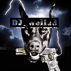 DJ-Wally 8008 NJ   End off your live. 2.wav