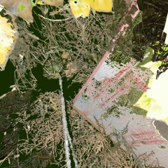 Drinking In The Shower