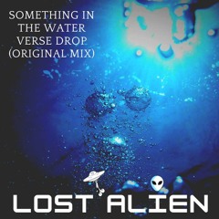 Something In The Water Verse Drop (Original Mix)