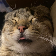 ⁨رضا البحراوي ورمضان البرنس شويه سلطنه