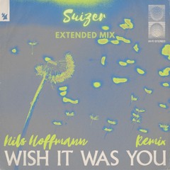 Wish It Was You feat. Cate Downey (Suizer Extended Remix)