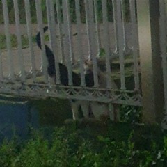 몰랐어 (Prod.Kult)