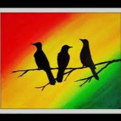 Bob Marley & The Wailers- Three Little Birds Live 1980