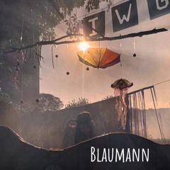 Blaumann @ IWG '24