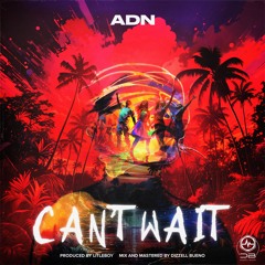 ADN- CANT WAIT