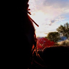 reflections