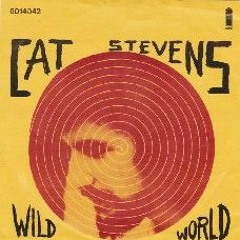 Wild World - Yusuf / Cat Stevens (Cover)