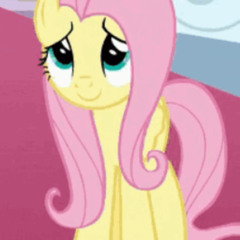 fluttershy! (prod. me)