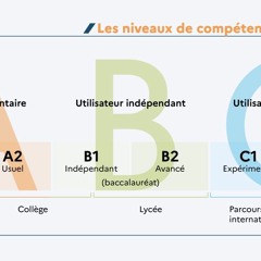 [whatsapp:+447915647070] Acheter un certificat TCF, TEF sur internet en France