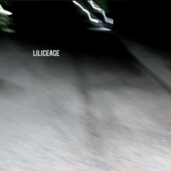 ❄︎lil iceage❄︎全部忘れた(drmabeats)