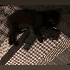 fendifigueroa- DEATHB4DI$HONOR