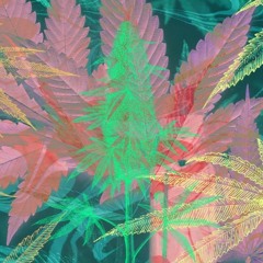 Tony Mota x Real - Jane