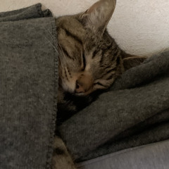 let us stay in touch