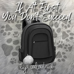 If At First You Don't Succeed