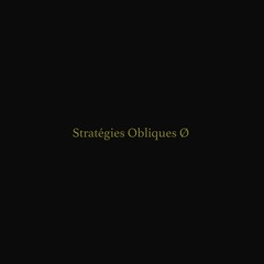 Steve Roden_Stratégies Obliques Ø [extract]