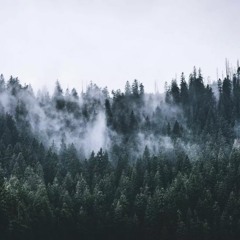 Aname good background music FREE DOWNLOAD