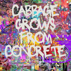 scared 2 fly & cry 4 u  ੈ✩‧₊˚CABBAGE || (prod. THERSX / IMOTAPE)