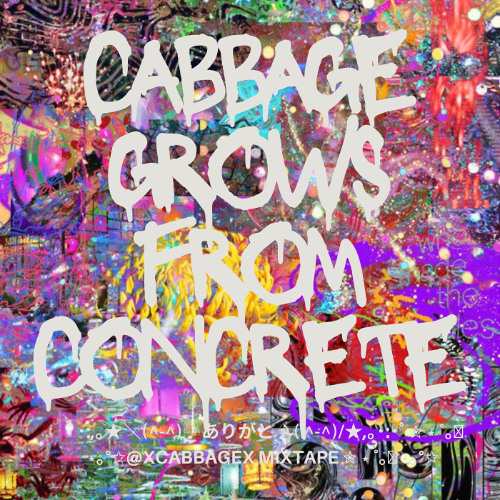scared 2 fly & cry 4 u  ੈ✩‧₊˚CABBAGE || (prod. THERSX / IMOTAPE)