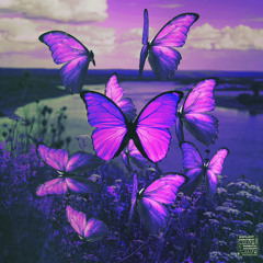 Butterflies illMade x Luh Sant